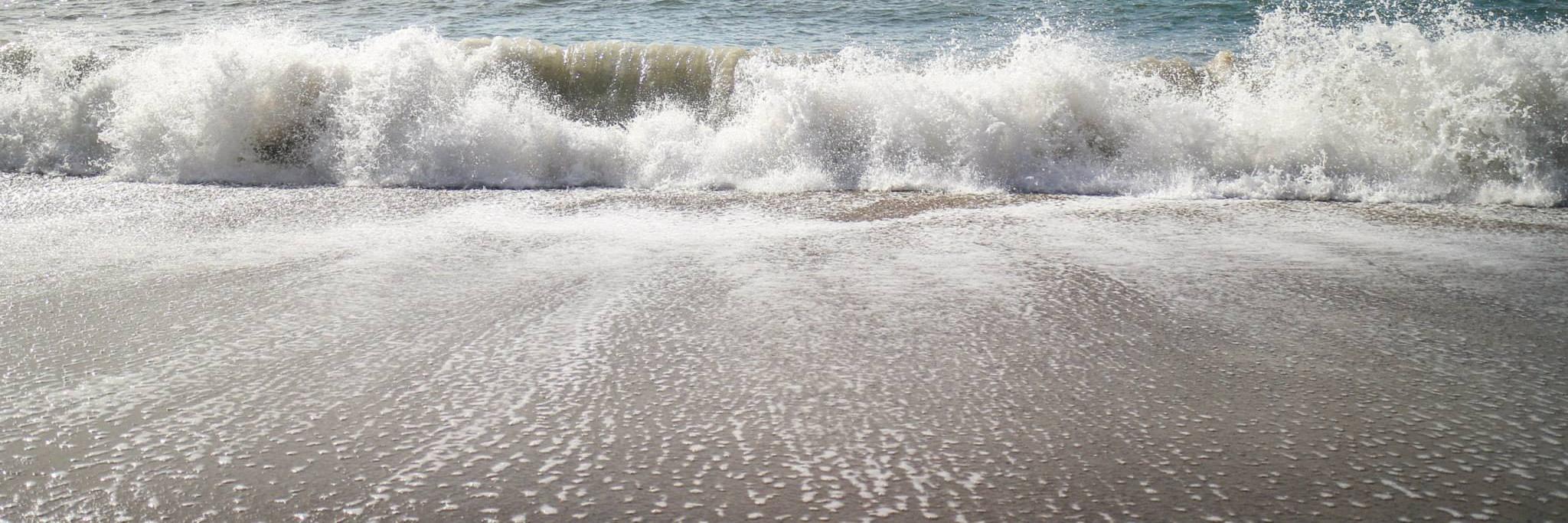 Bojan Đuričić banner