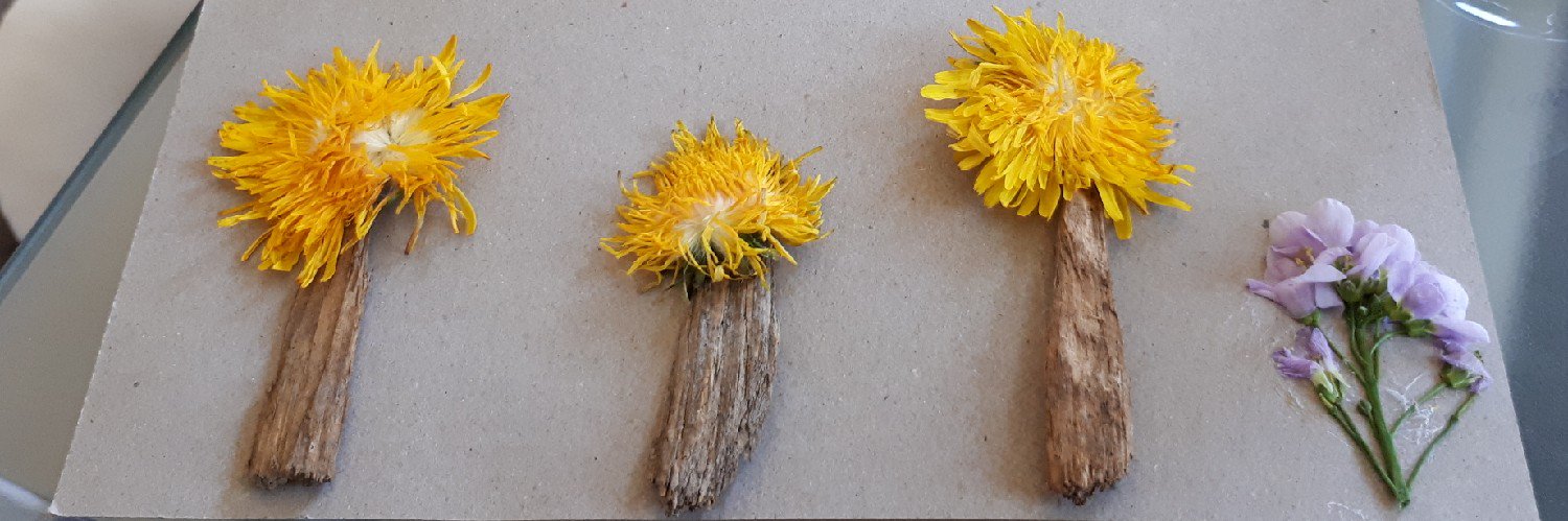 Christoph Walser banner