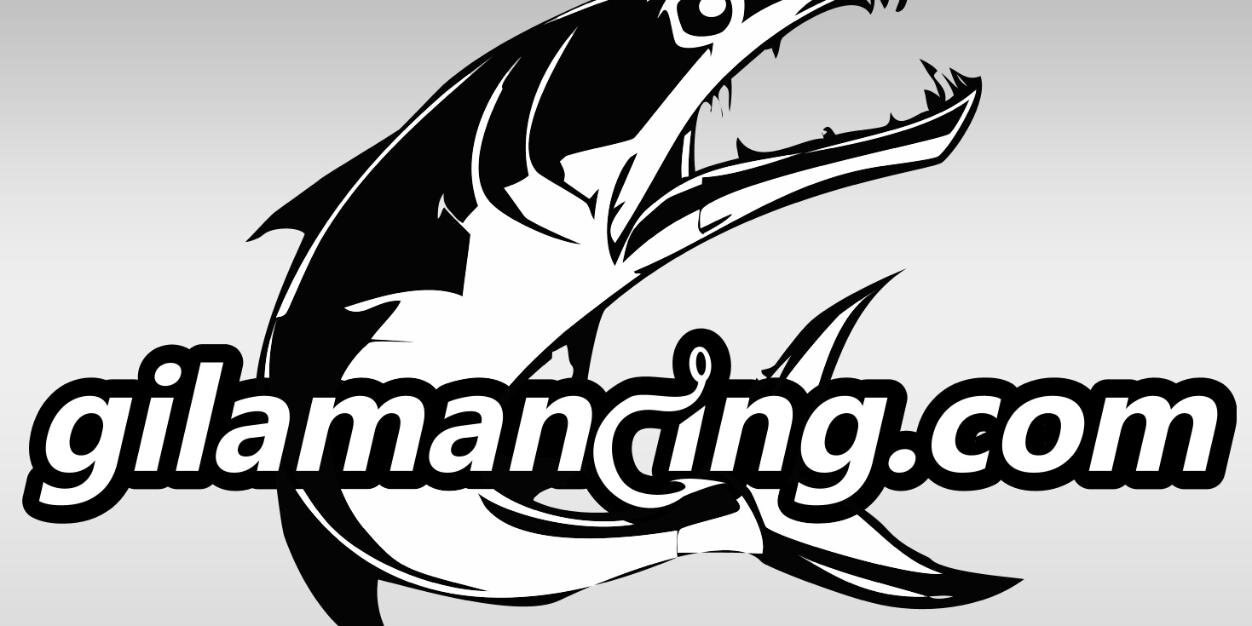 GilaMancingcom's profile banner image