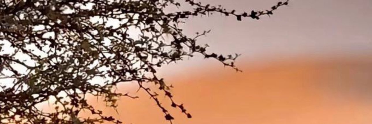 waw6ever's profile banner image