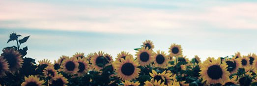 strxngirl's profile banner image