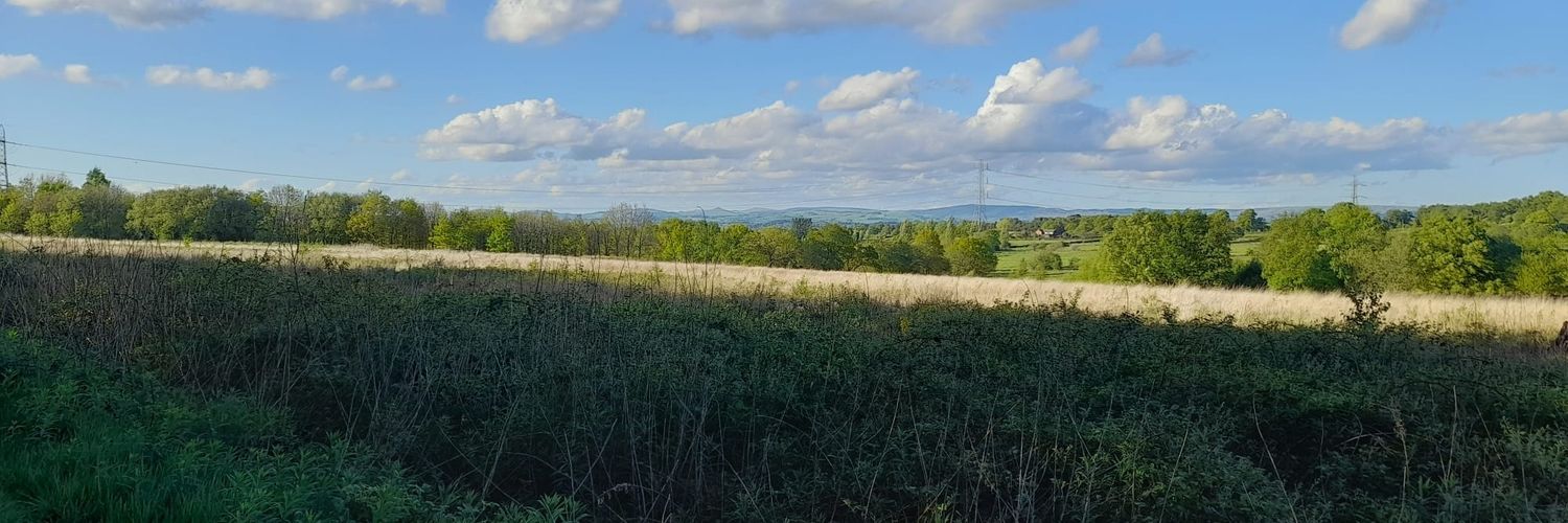 Jo Paterson 💙 🌈 💛 banner