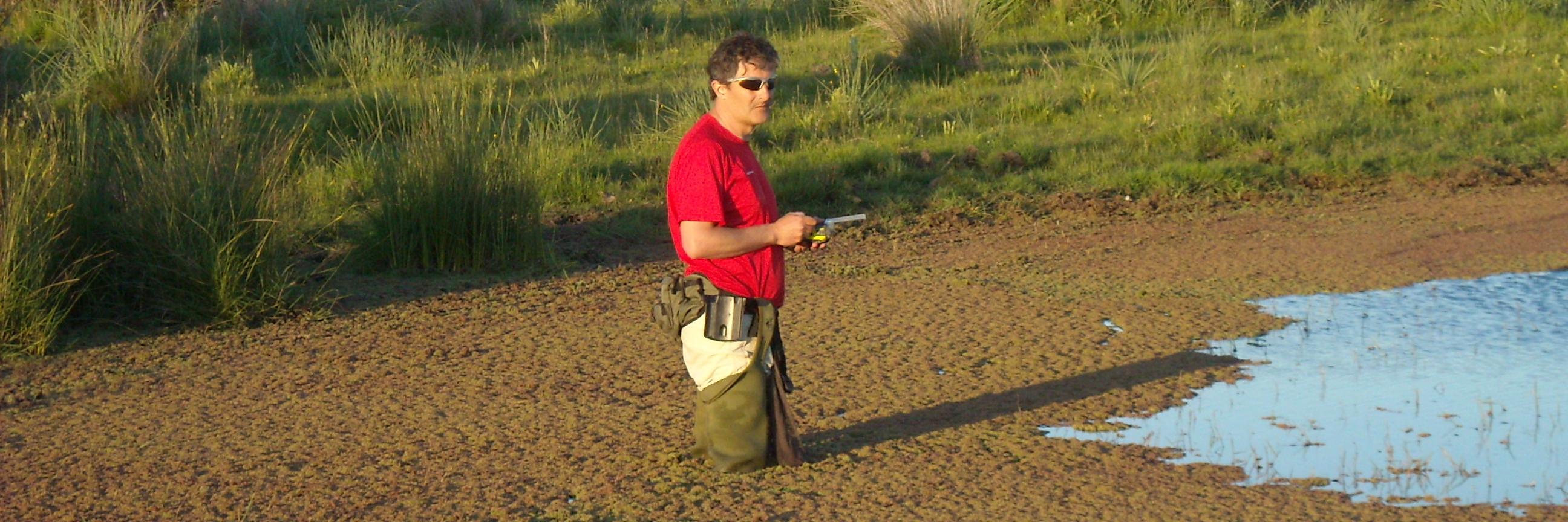 Javier Bustamante banner