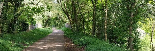 Sariya_CC Profile Banner