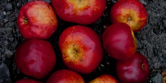 welsh_cider's profile banner image