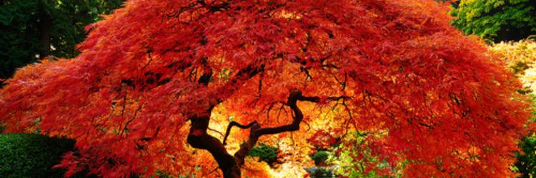 schaetzke1's profile banner image