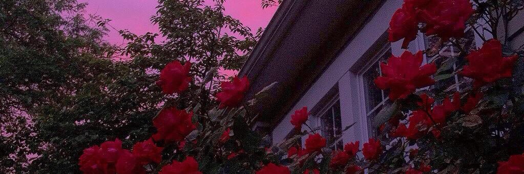 __gvldafrican's profile banner image