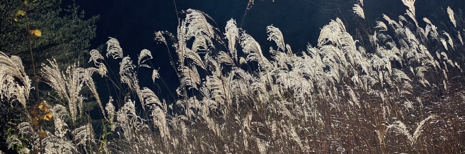 mamama757's profile banner image