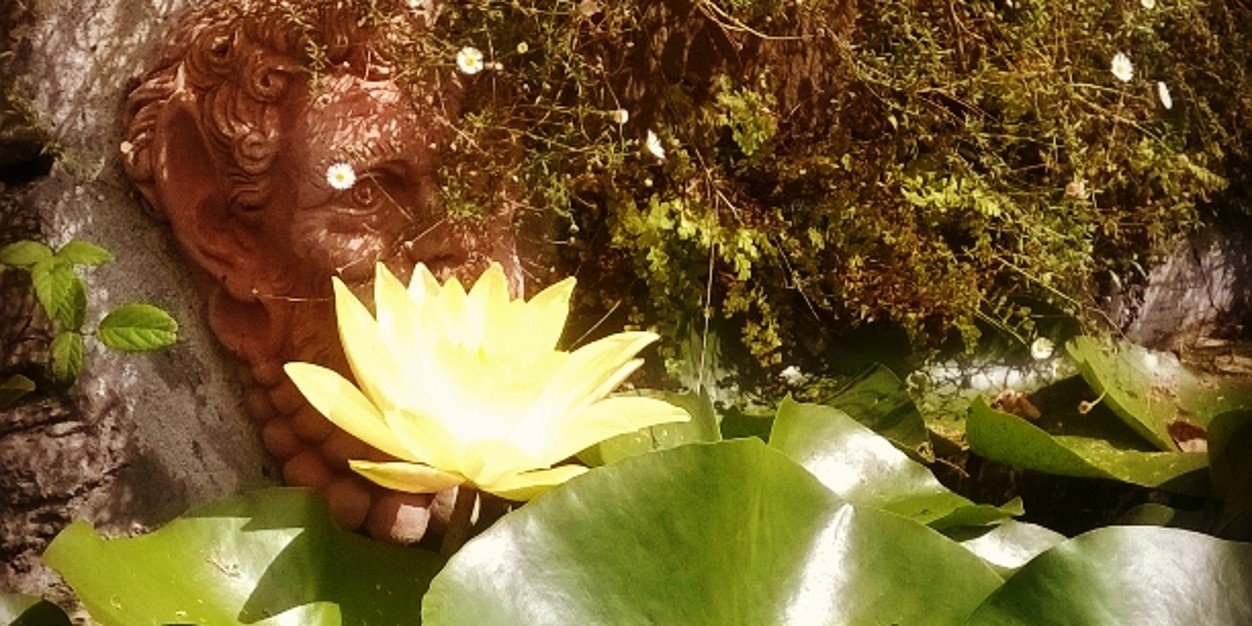 moniamoniared's profile banner image