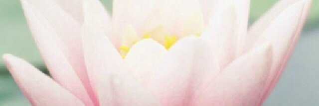 aya6_18's profile banner image
