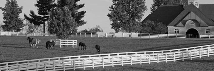 rlb0414's profile banner image