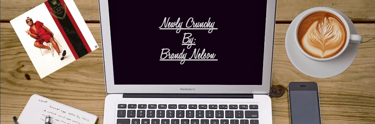 Brandy Nelson banner