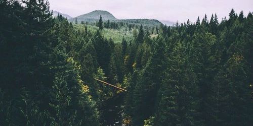Buthonestiy's profile banner image
