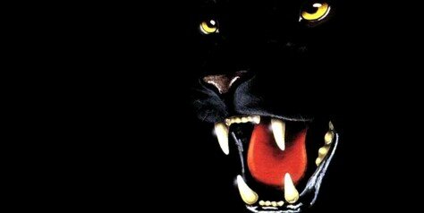 shaadoow99's profile banner image
