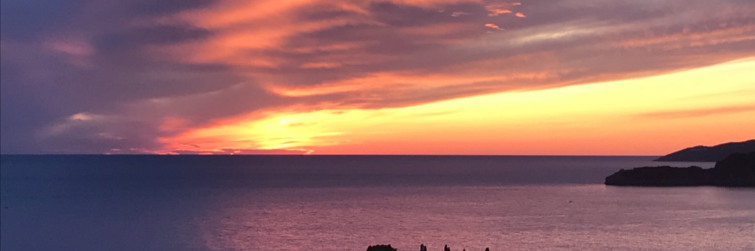 lilaclover's profile banner image