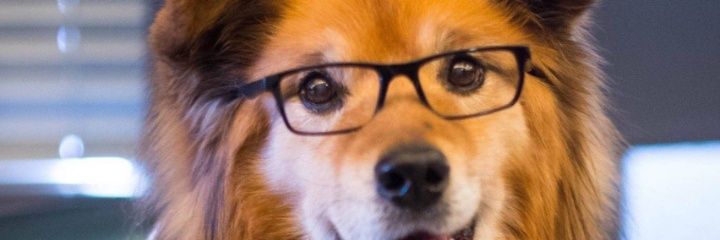 Vinaikwe's profile banner image