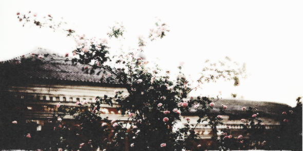 SGomez_world's profile banner image