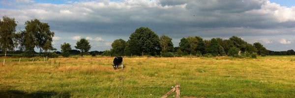 Muilerman Profile Banner