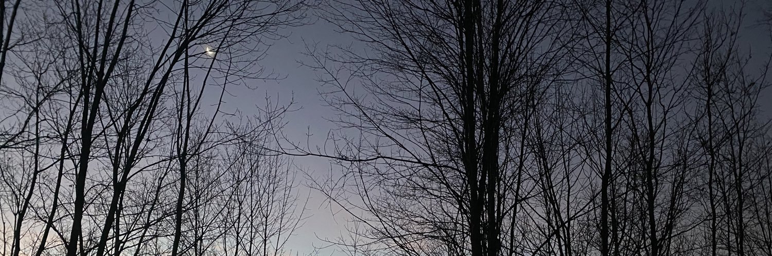 USNVETFF65's profile banner image