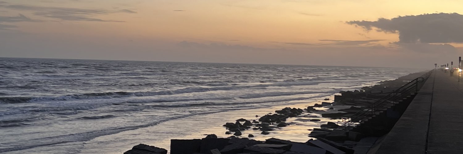 HudsonDScott's profile banner image