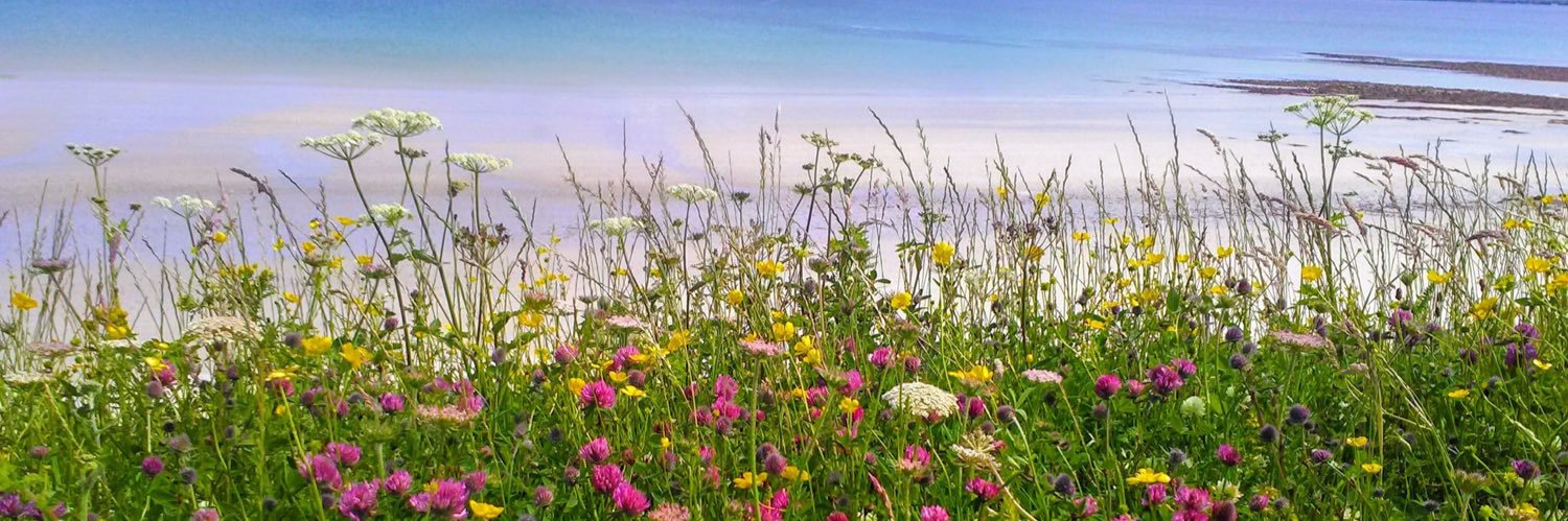 DStar68's profile banner image