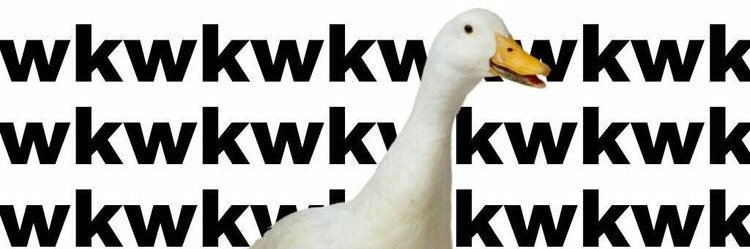 killimesoftly's profile banner image