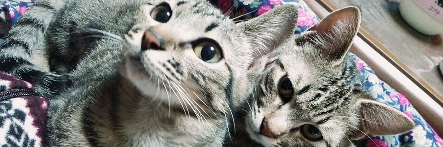 powan_o's profile banner image