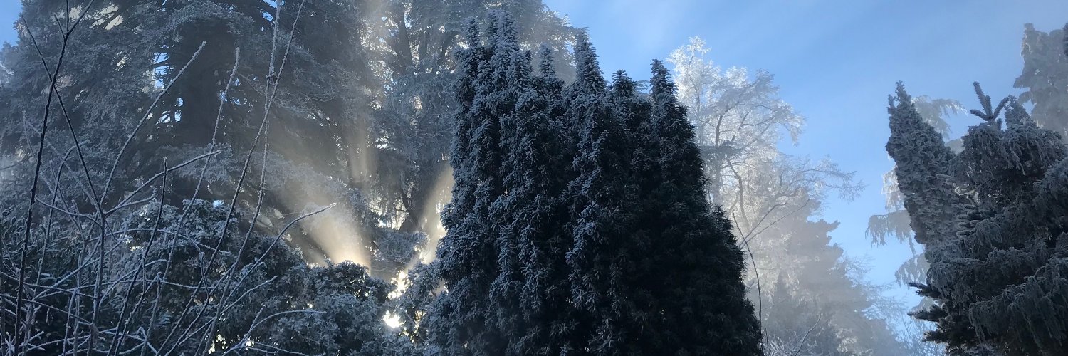 francoisbecker's profile banner image