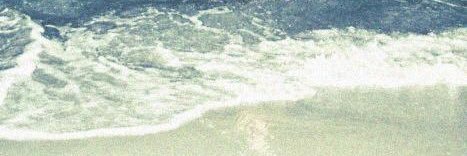 madisonshort81's profile banner image