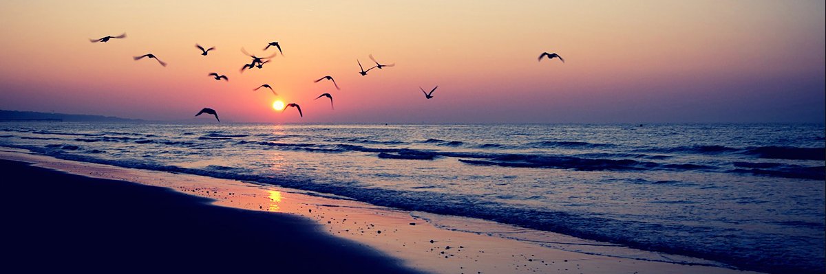 NWHouTxRealtor's profile banner image
