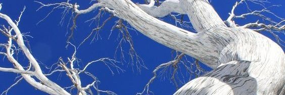 mixfedcg's profile banner image