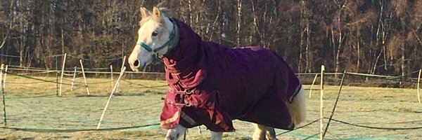 katiefielding8 Profile Banner