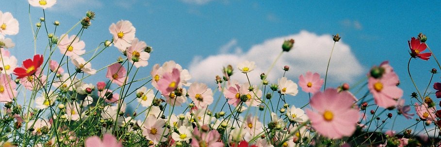 gigattf's profile banner image