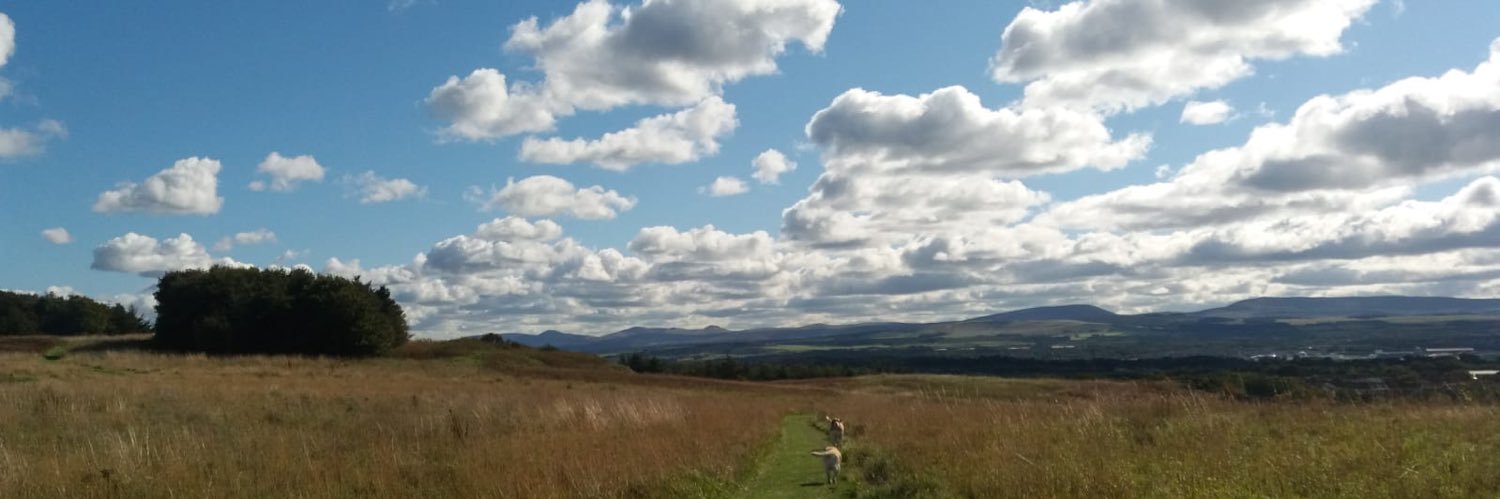 Gerald Fenech banner