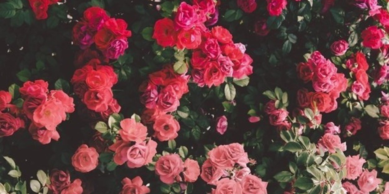 erinnnn28's profile banner image
