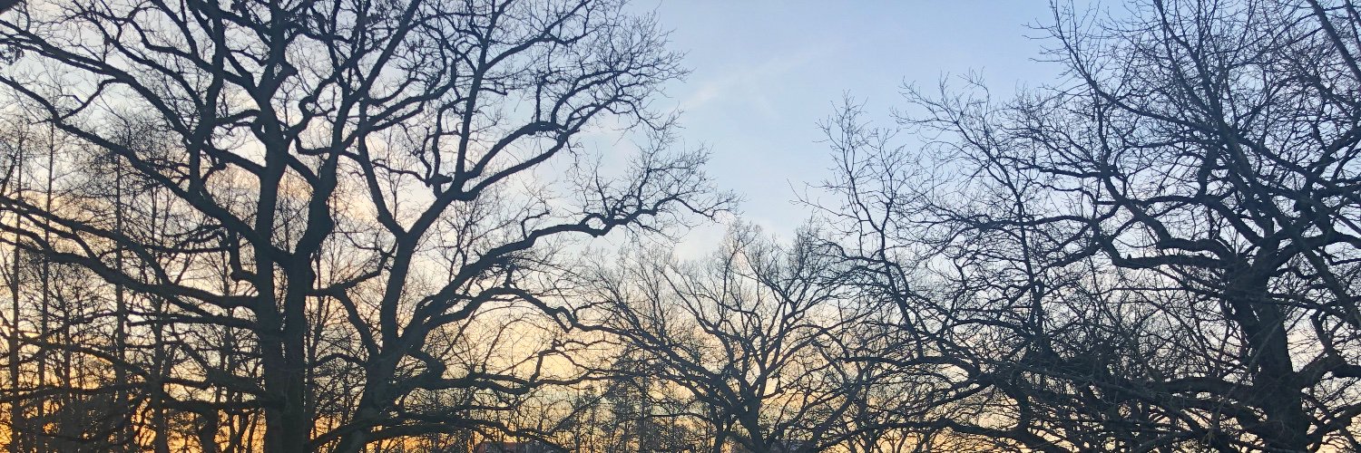 harnick's profile banner image
