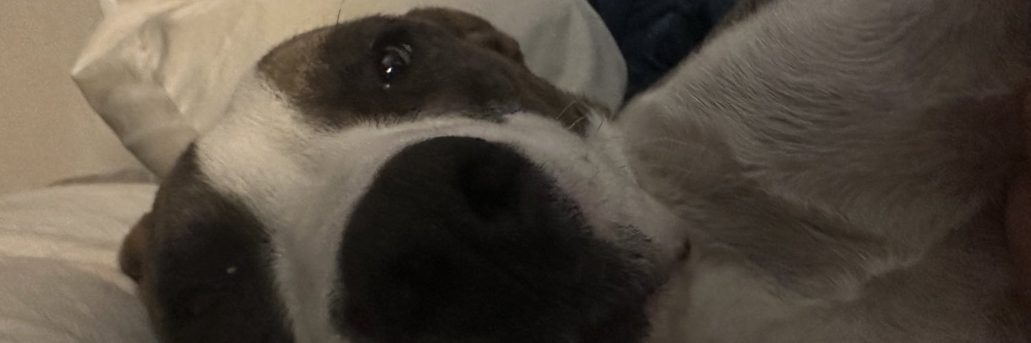 briimckee's profile banner image
