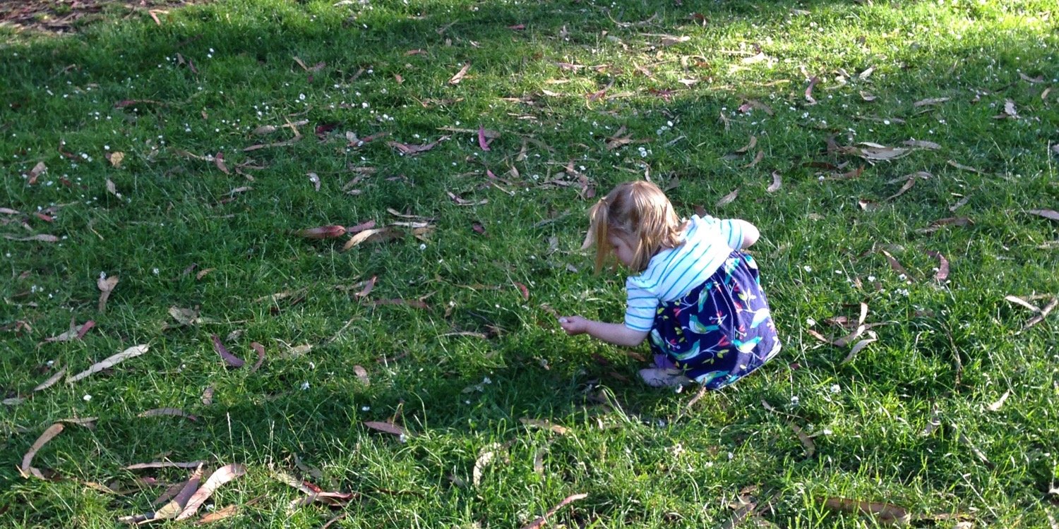 Brandon Carpenter banner