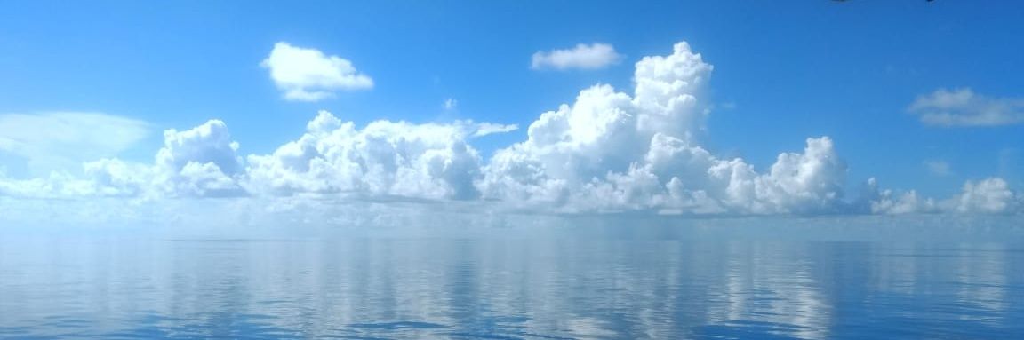 anilxess07's profile banner image