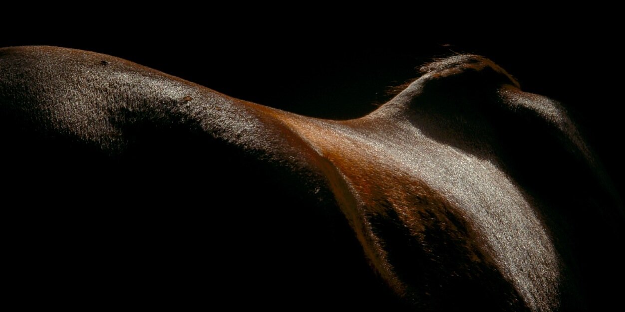 Horsify's profile banner image
