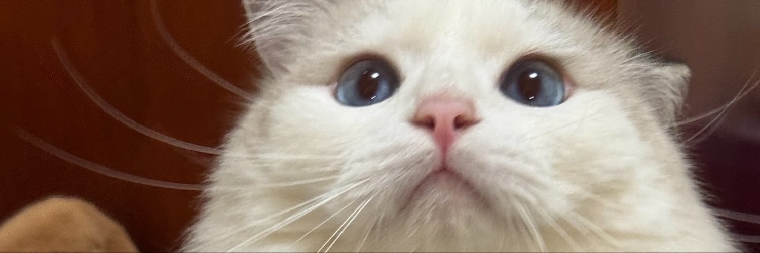 sikuz_'s profile banner image