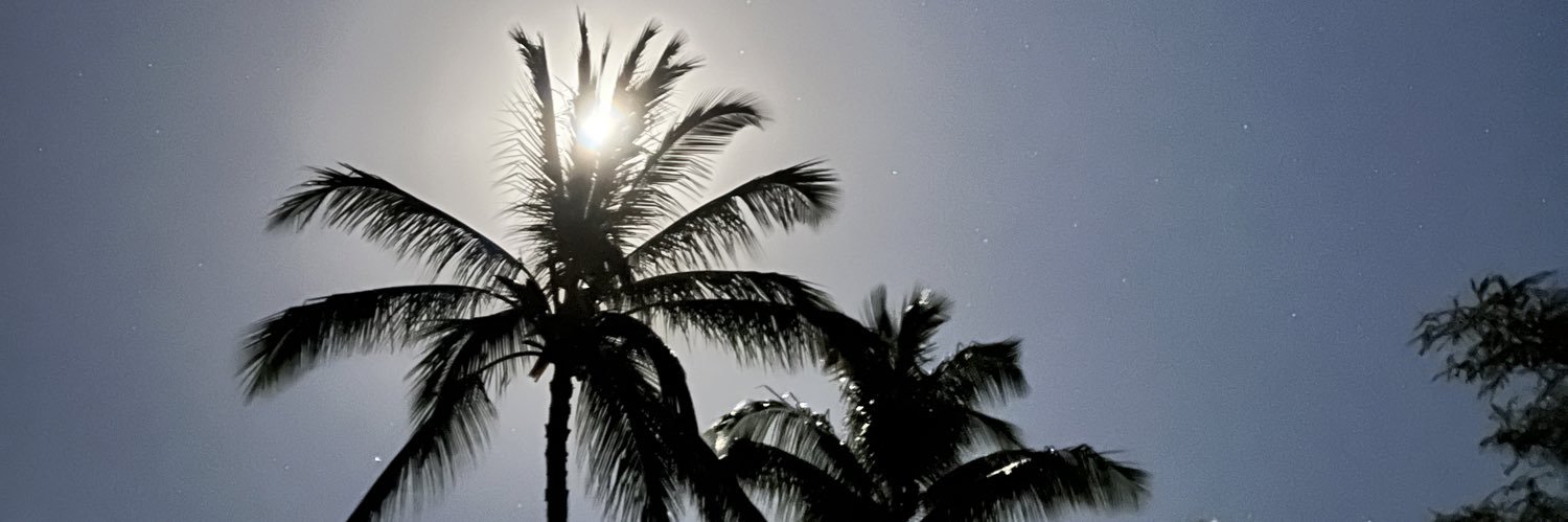 scottleanexpert's profile banner image