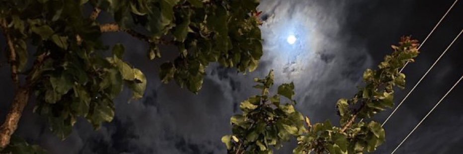 naseamedali's profile banner image