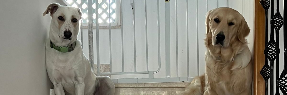 RoyGChehwane's profile banner image
