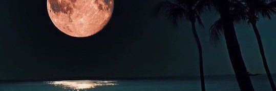 AlexisG_27's profile banner image