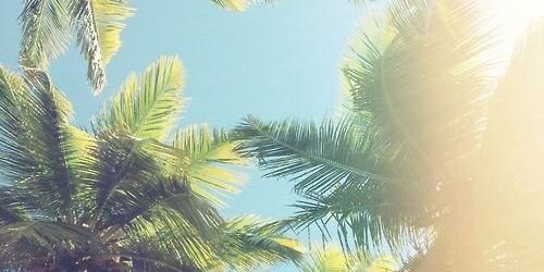 Sara99as's profile banner image
