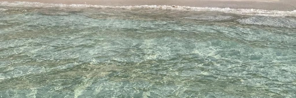 elodieplusrien's profile banner image