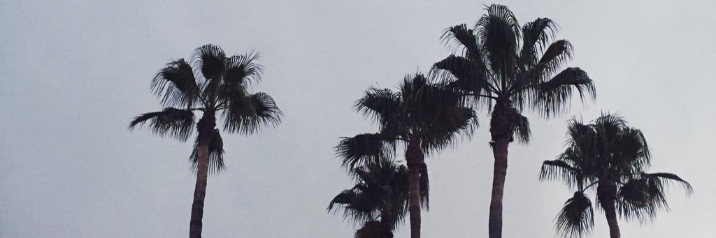 Luckylauu's profile banner image