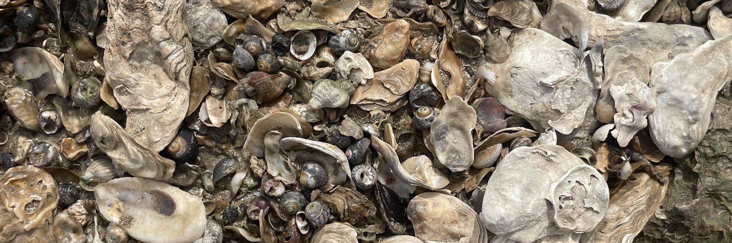 Aliiicccce's profile banner image