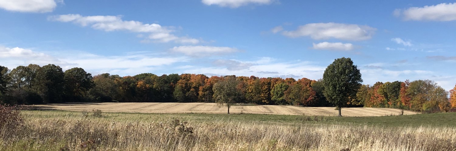 Elizabeth MacDonald banner